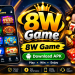 8W Game